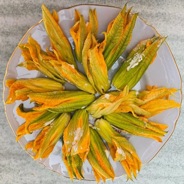 Fiori di zucca